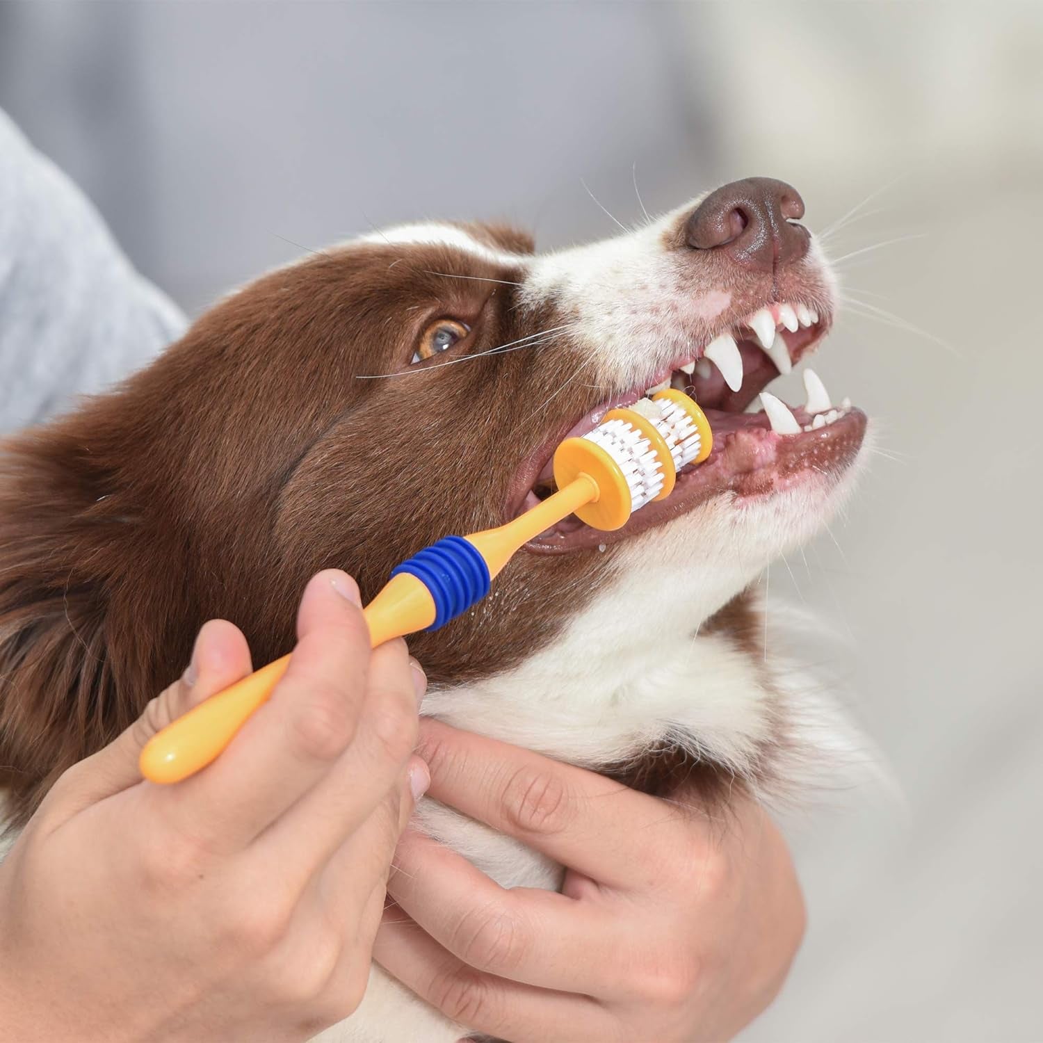 for Pets Fresh Spectrum 360 Degree Dog Toothbrush for Large Dogs | Dog Toothbrush Bristles Help Break down Plaque and Tartars for Adult Dogs, Molars, Incisors, and All Teeth, White